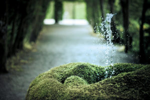 une-fontaine-naturelle-aux-jardins-deau-dannevoie