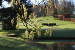 Le-Printemps-aux-Jardins-DAnnevoie