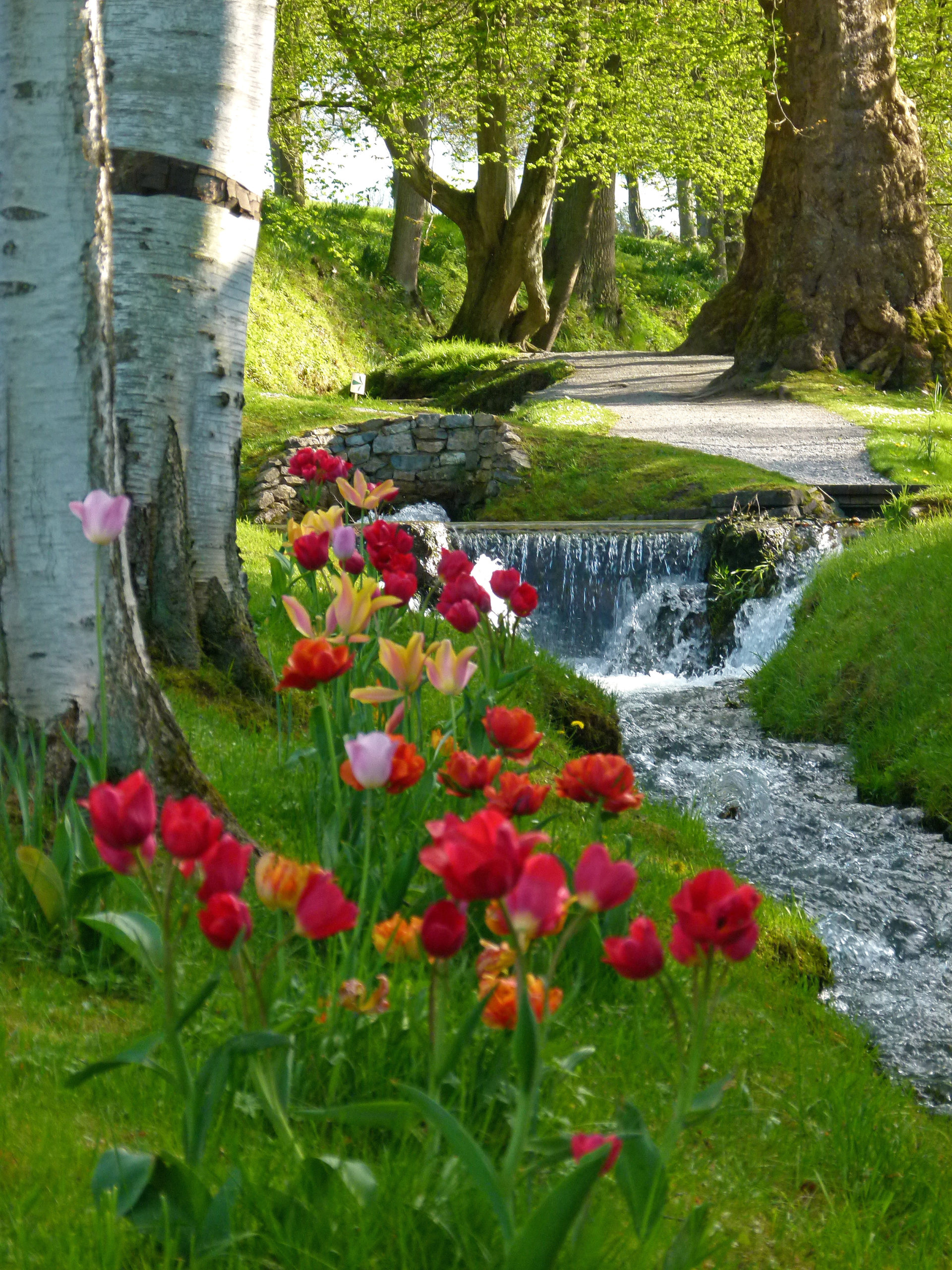 Les-Jardins-DAnnevoie-en-fleurs