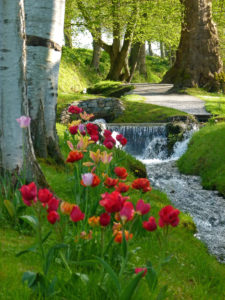 Les-Jardins-DAnnevoie-en-fleurs