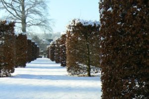 les-jardins-dannevoie-en-hiver