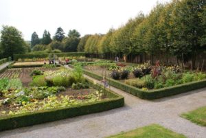 le-potager-des-jardins-deau-dannevoie