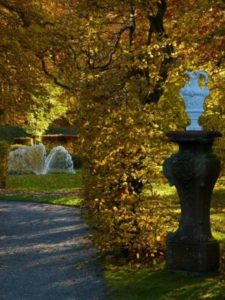 grand-bouillon-aux-couleurs-de-lautomne